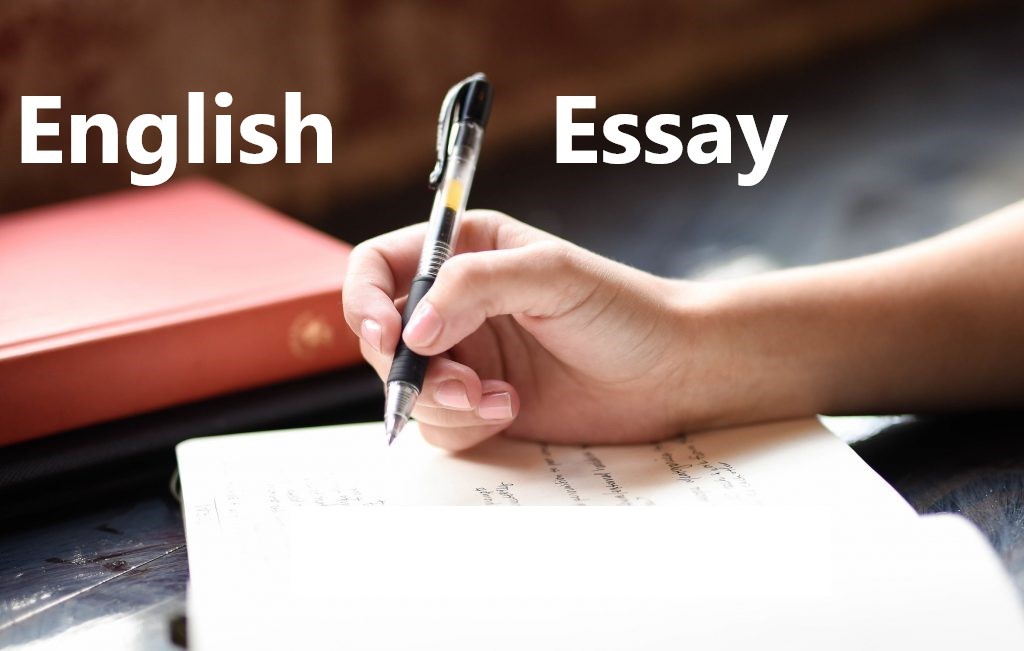 English Essay 6