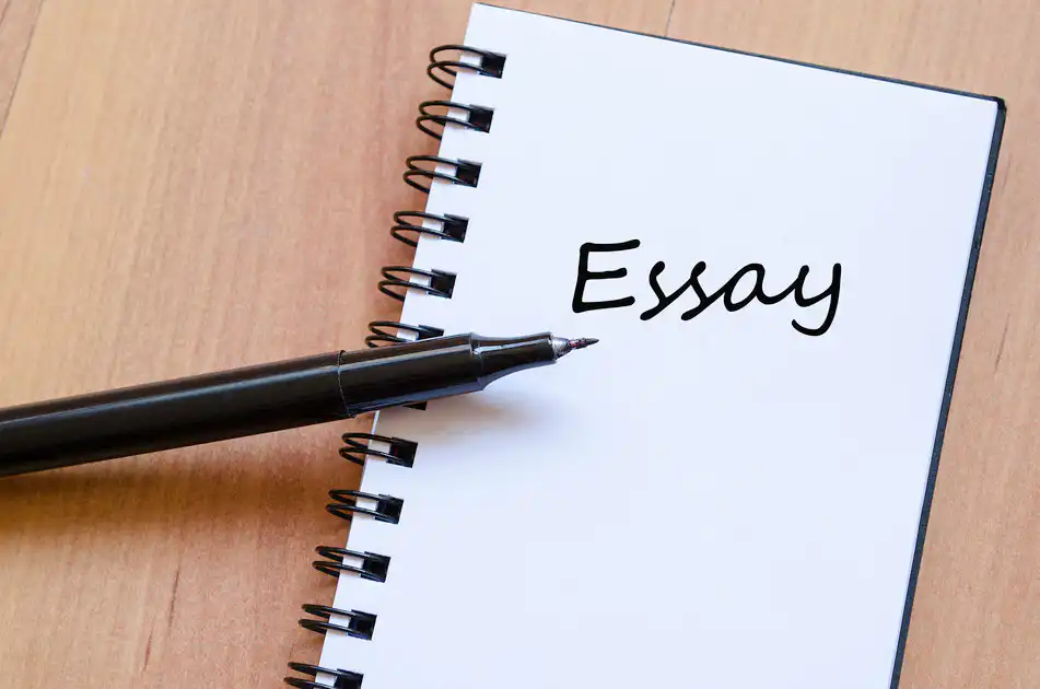 English Essay 4