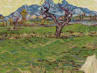 Vincent van Gogh, Champs près des Alpilles, 1889.