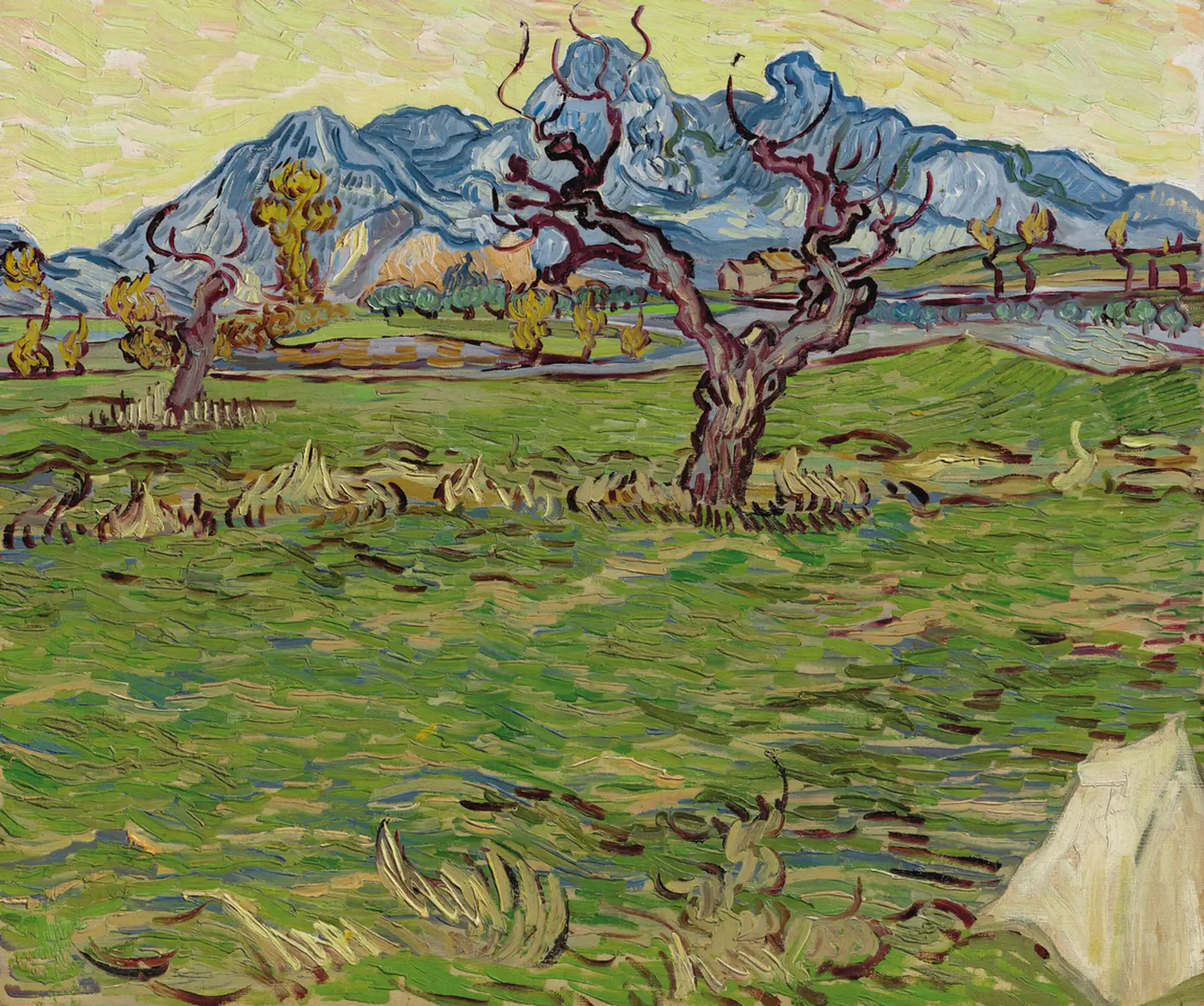 Vincent van Gogh, Champs près des Alpilles, 1889.