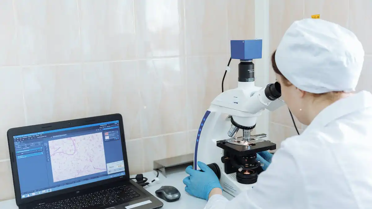 Best laptops for chemistry majors